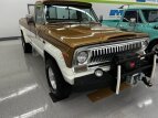 Thumbnail Photo 0 for New 1974 Jeep J10